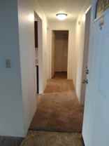 Whispering Pines - Photo 1 of 1