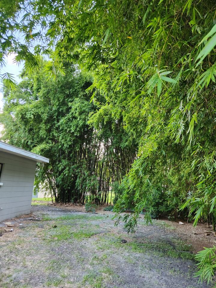 1005 N Bracewell Dr #NA - Photo 6 of 31