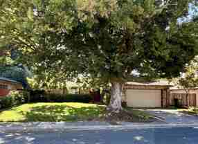4781 Rex Ct #NA - Photo 1 of 1