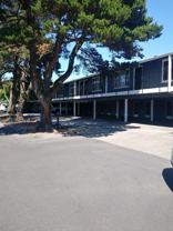 Timberline Apartments - Photo 1 of 1