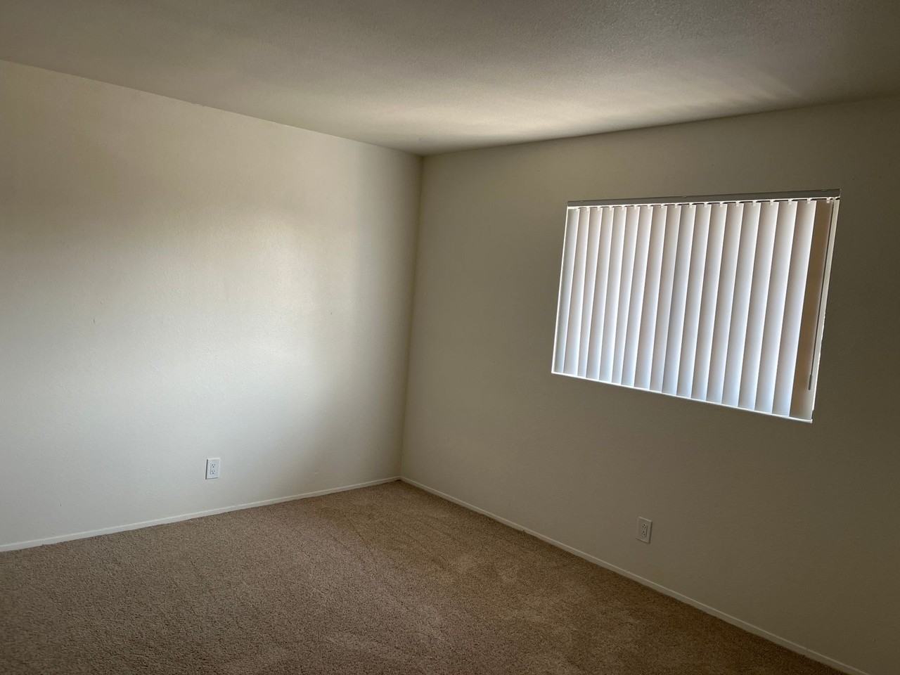 Valeta 4461 - Photo 7 of 9