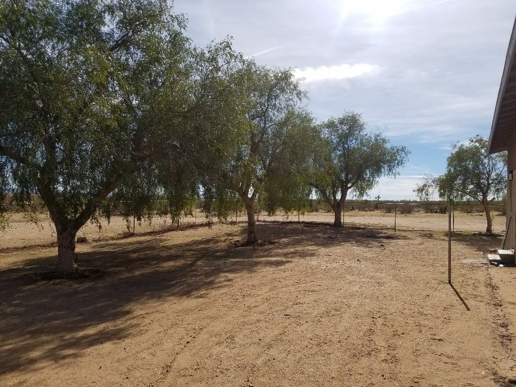 1650 Cambria Ave - Photo 2 of 11