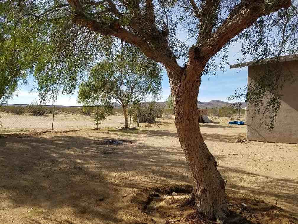 1650 Cambria Ave - Photo 3 of 11