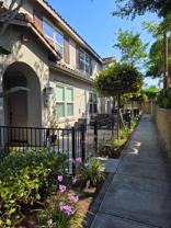 430 Caminito Azul - Photo 1 of 1