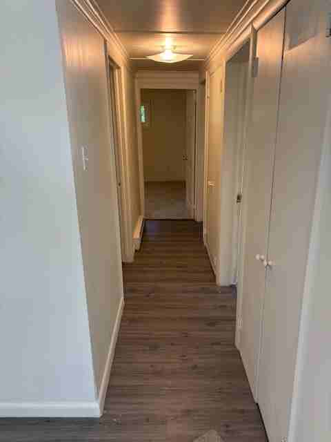 Clear Springs Apartments - Photo 3 of 8