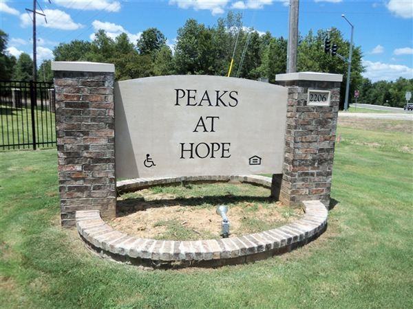 The Peaks at Hope - Photo 3 of 6