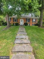 featured image of 7063 Wolftree Lane