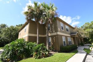 36232 Misty Oaks Dr #203 - Photo 1 of 1