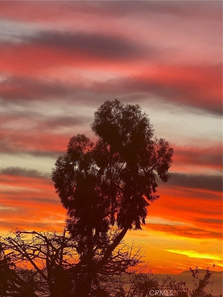 1076 Miramar St - Photo 3 of 21