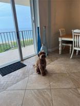 1900 S Ocean Blvd #5F - Photo 1 of 1