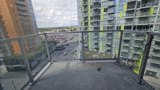 807 - 10 Brentwood Road Northwest - Photo 1 of 1