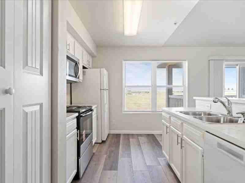 6405N Chapel Hill Blvd #N201 - Photo 4 of 18