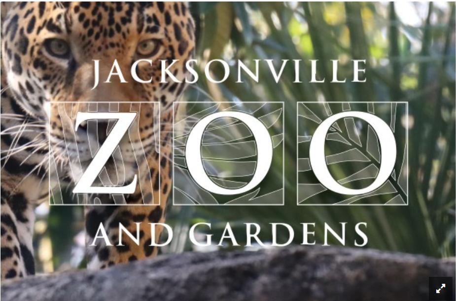 Ribault Scenic Dr - Photo 7 of 26