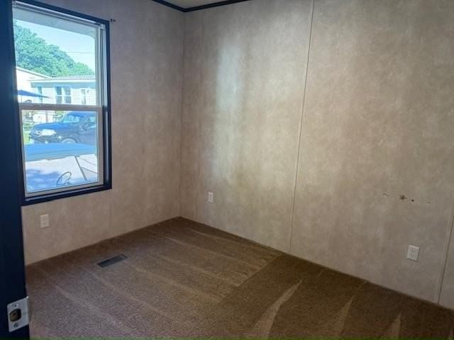 310 Oriole Ln #310 - Photo 5 of 8