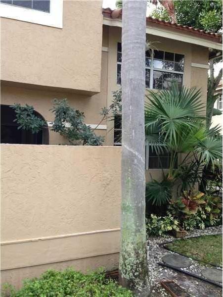 6542 Via Regina #11 - Photo 2 of 11