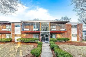 featured image of 125 Grove St