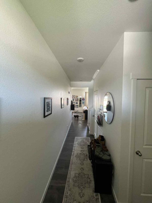 3724 Catmint St - Photo 3 of 16