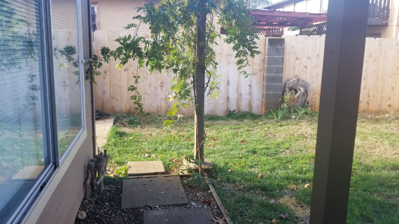 1071 Bond St #1 - Photo 3 of 10