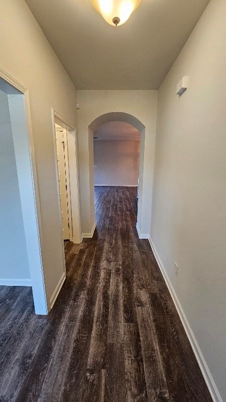 205 Holt Street - Photo 2 of 20