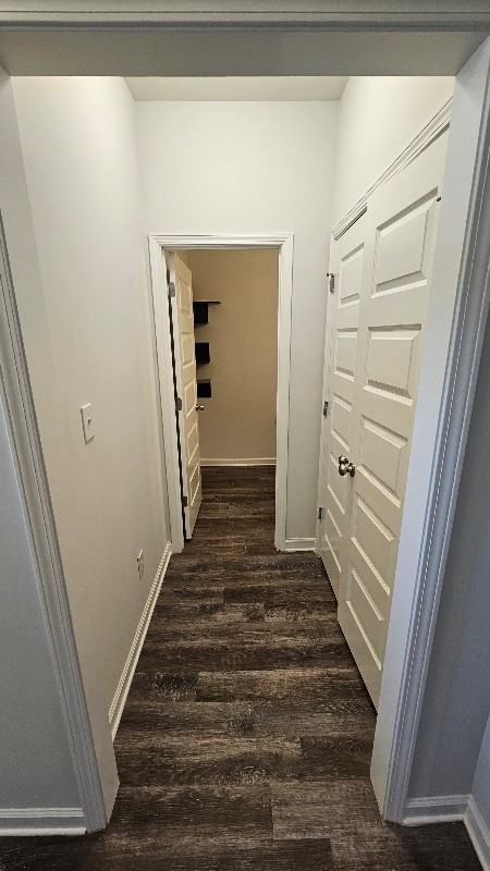 205 Holt Street - Photo 4 of 20