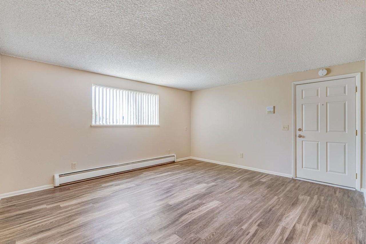 OLDE TOWN ARVADA – UNBEATABLE LOCATION & CHARM! - Photo 7 of 50