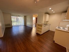 Monterey Pines - Photo 1 of 1