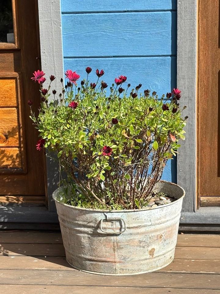 Clouds Rst - Photo 2 of 7