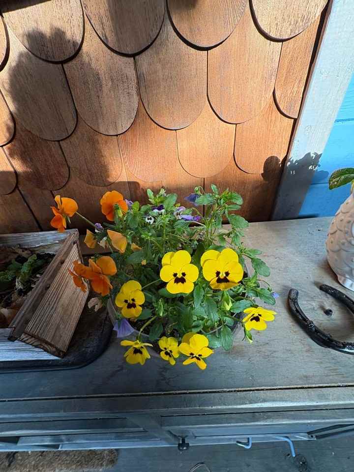 Clouds Rst - Photo 4 of 7