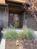 603 Little Cloud Dr - Photo 1 of 1
