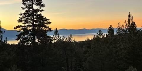 315 Olympic Ct #C - Photo 2 of 20