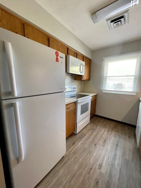 807 Greenfield Drive - Photo 2 of 7