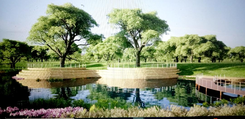 1914 W 38th St - Photo 3 of 22