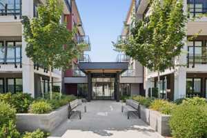 featured image of 710 Dogwood Street