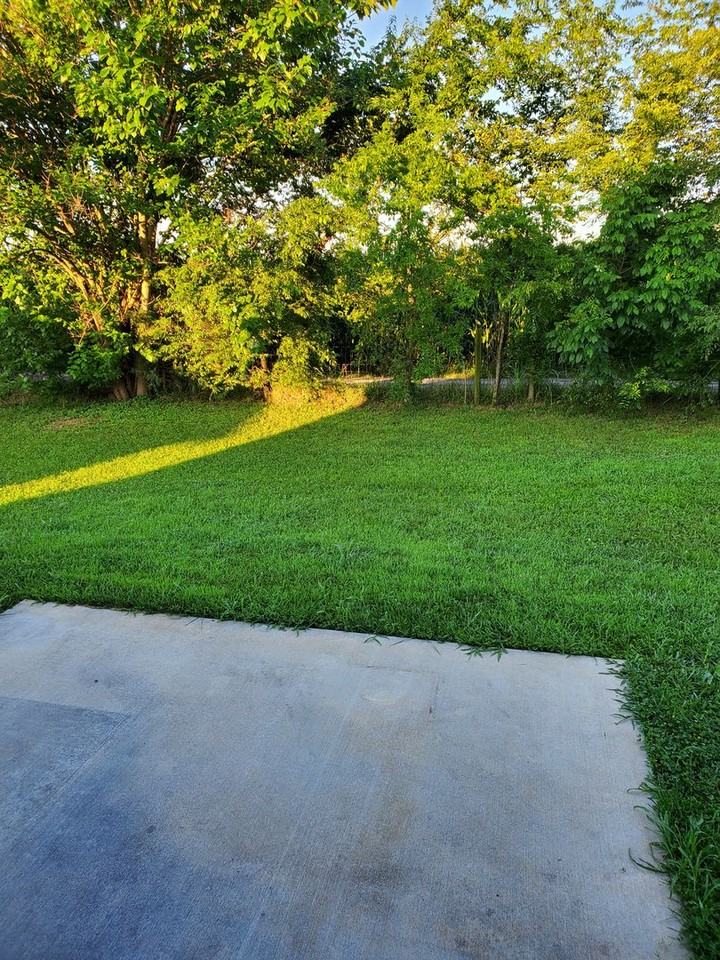 357 Paige Ave - Photo 4 of 24
