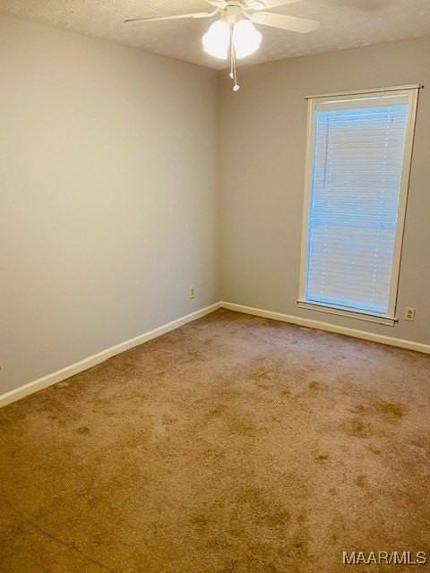 7204 Brampton Ln - Photo 7 of 15