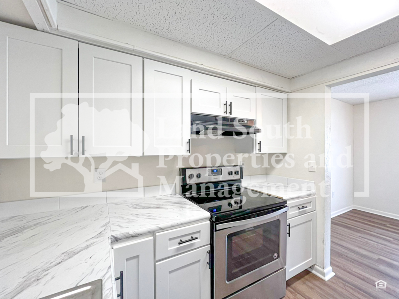 246 Mary Catherine Ct - Photo 6 of 17