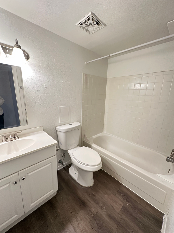 Elm Grove Apartments – Studio & 1 - Photo 5 of 11