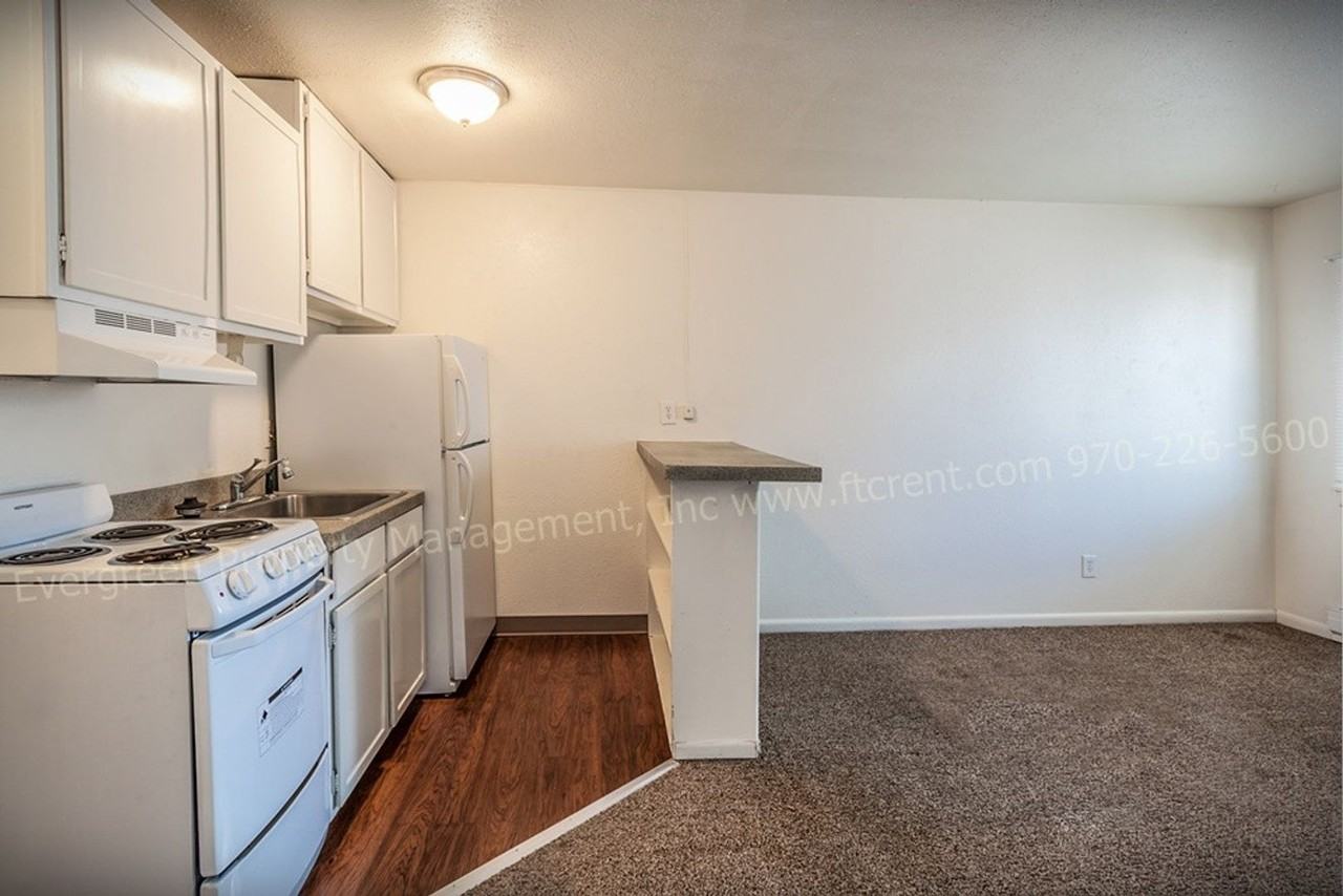 500 W Laporte Ave - Photo 7 of 30