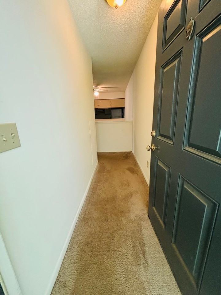 1315 Henry Ln Apt C - Photo 4 of 20