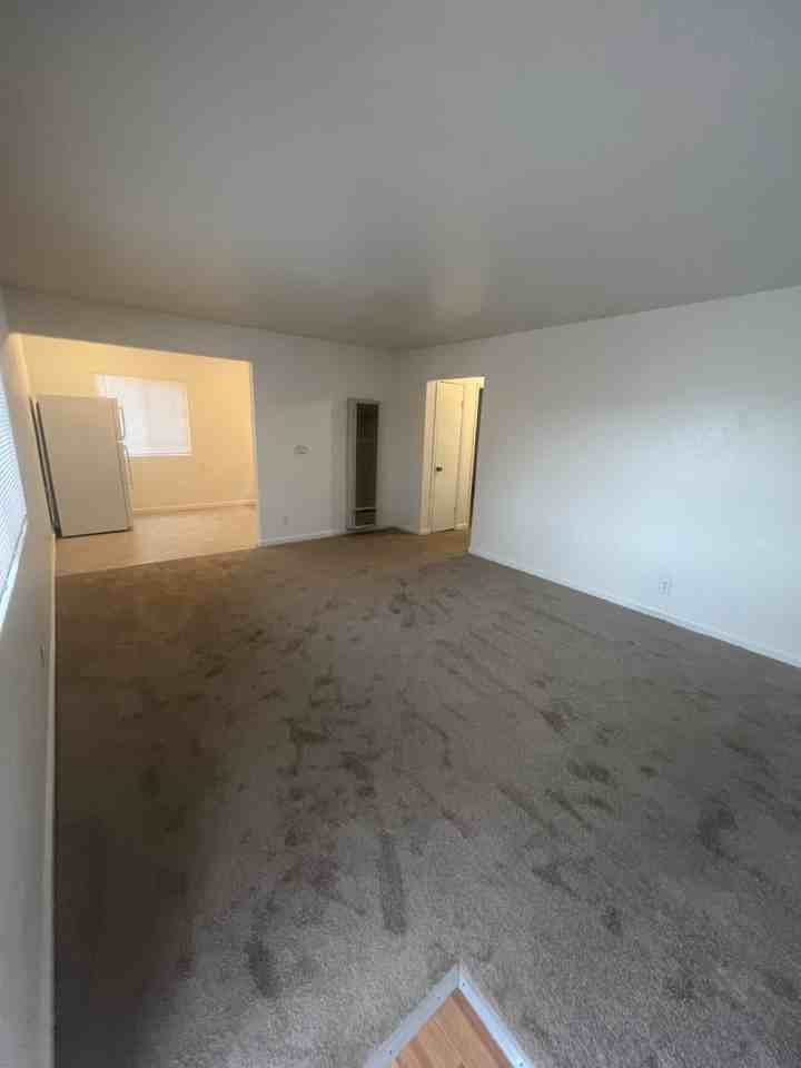 1321 Fillmore Street #2 - Photo 2 of 11