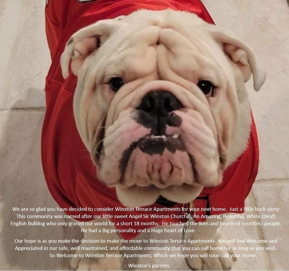 Winston Terrace Apartments LLC - Photo 4 of 13