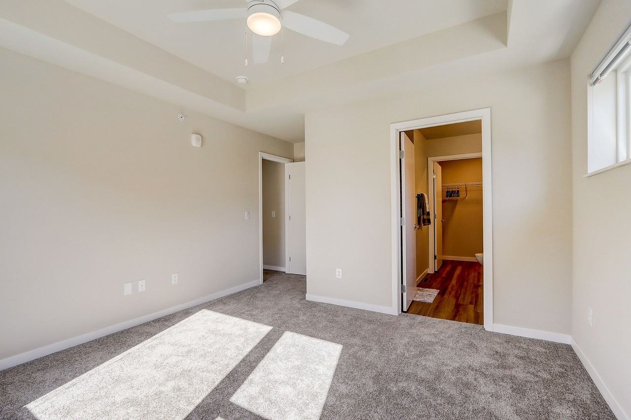 Limerick - Photo 6 of 42