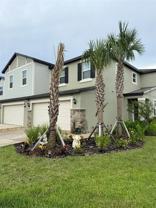 32142 Spiceberry St - Photo 1 of 1