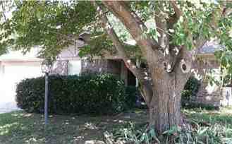 6025 Lindy Ln - Photo 1 of 1