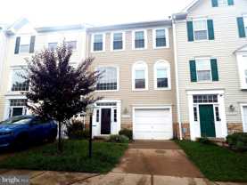 47330 Rock Falls Ter - Photo 1 of 1
