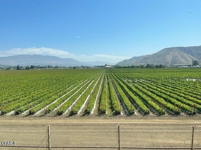 Shell Rd - Photo 5 of 5