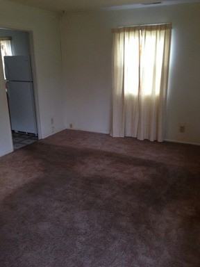 5016 Lillie St - Photo 3 of 15