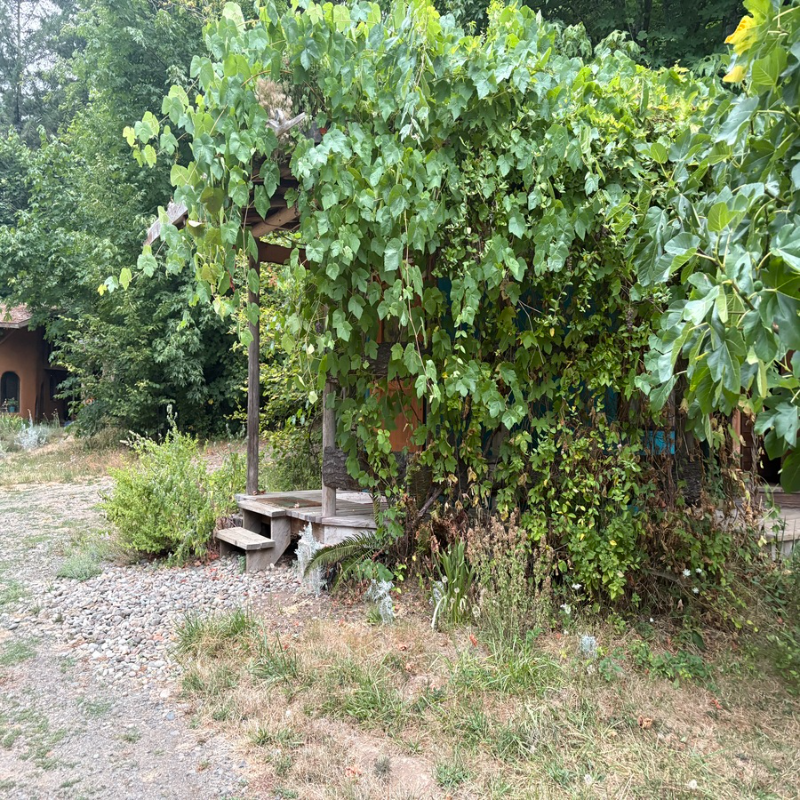 25563 Hall Rd #YURT - Photo 2 of 16