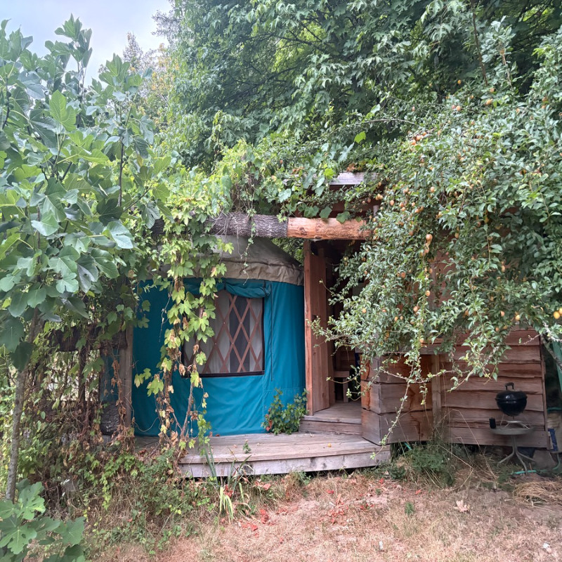 25563 Hall Rd #YURT - Photo 3 of 16