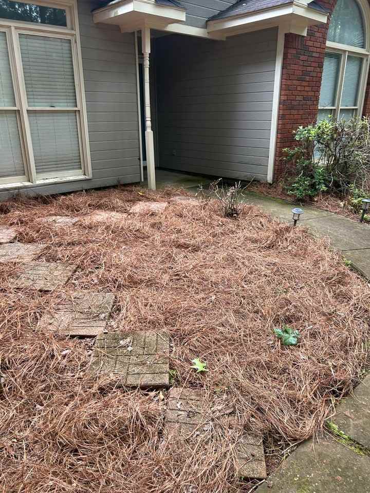 562 Evergreen Dr - Photo 3 of 20